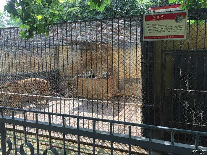 端午闲转,咸阳渭滨公园动物园逛起