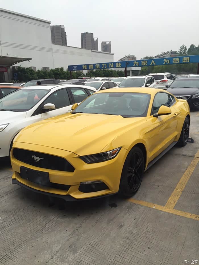 黄色野马很多人问这个颜色怎么样自己看了