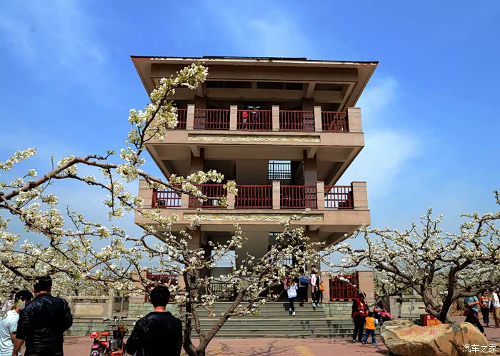 支持澳门论坛游记纪实山东聊城冠县中华第一梨园