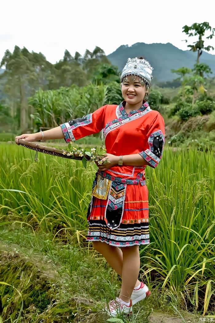 稻田上的小数民族女人