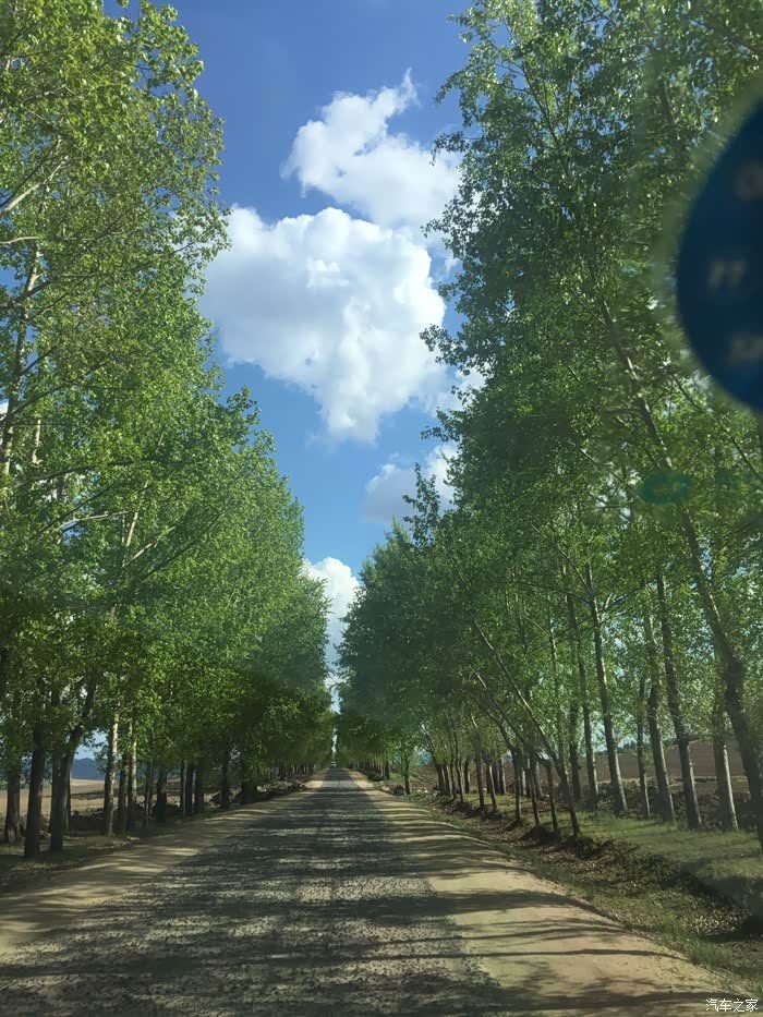 茂茂葱葱两排树真有接天赶脚