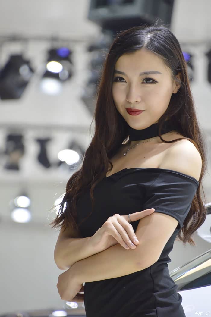 第十六届沈阳国际汽博会美女车模