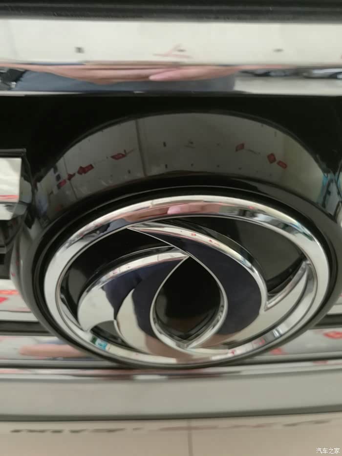 这个东风风行sx6的车标,设计的很好看!摸着很有质感!有档次!我很喜欢!