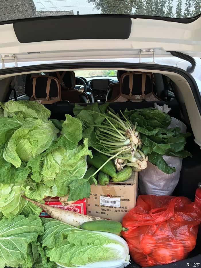 还有萝卜,还有不知道叫什么名字的菜,都是纯绿色食品,满满的一后备箱