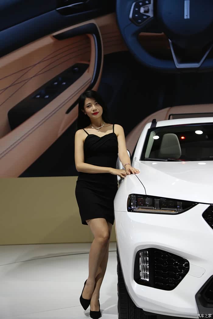 2017上海车展美女点评耗时1天拍了近100位美女196张高清图