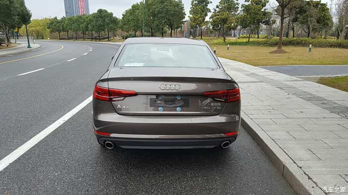 百无聊赖发个作业阿格斯棕