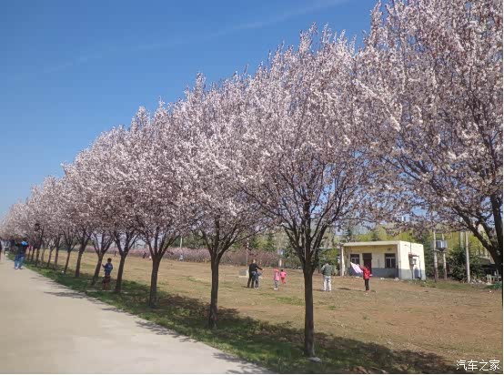 自驾游春天让我们相约秦灞庄园