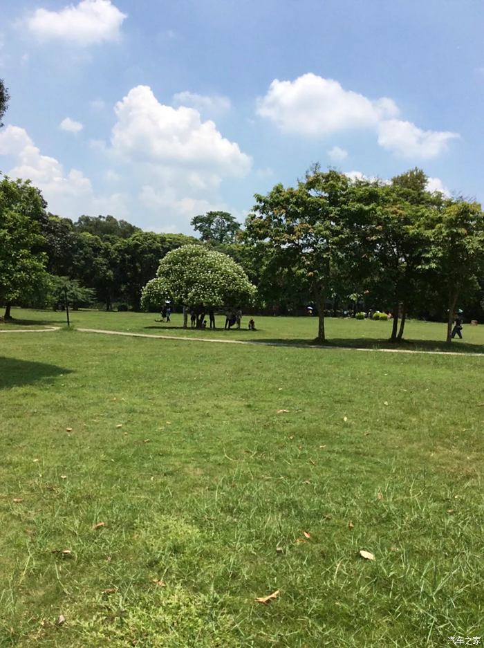 廣州華南植物園之遊玩