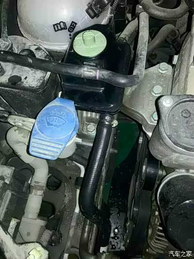 (助力泵油壶油管都新换出故障并)