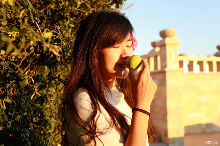 颐和庄园之映日荷花别样红