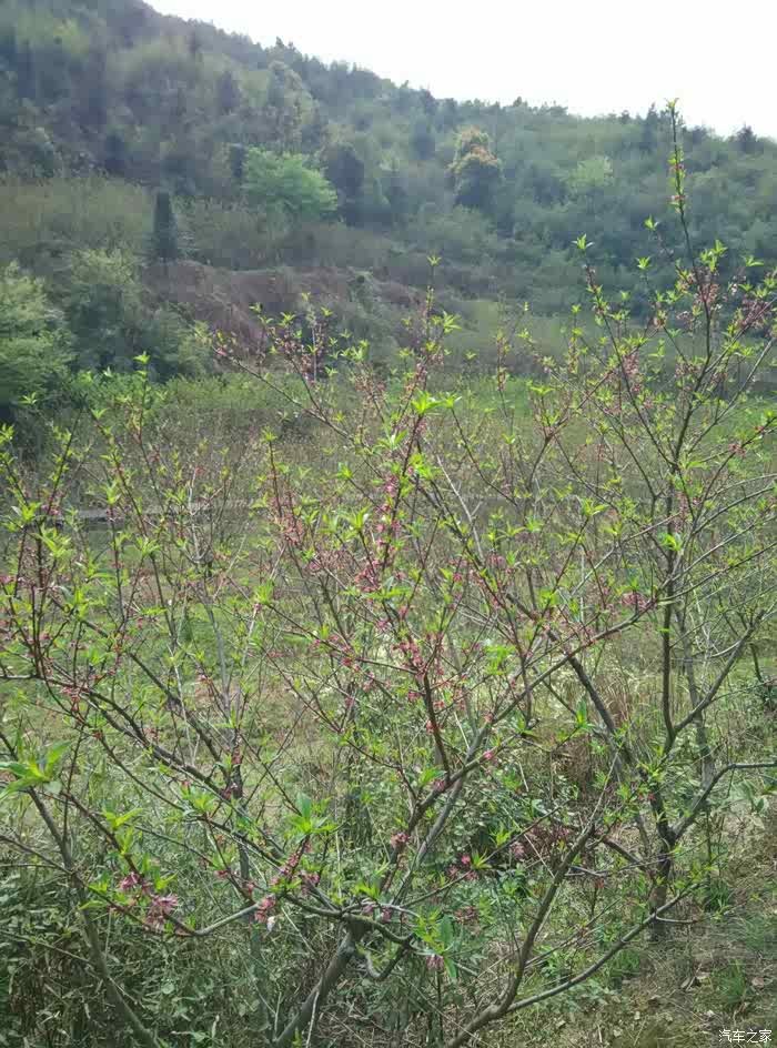 宁乡磊子石你值得一爬的地方