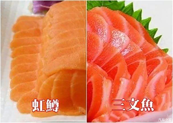 红鳟鱼跟三文鱼对比图片