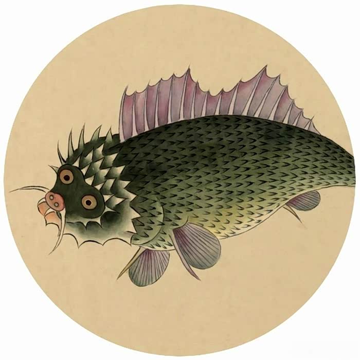 清朝绘海鱼图