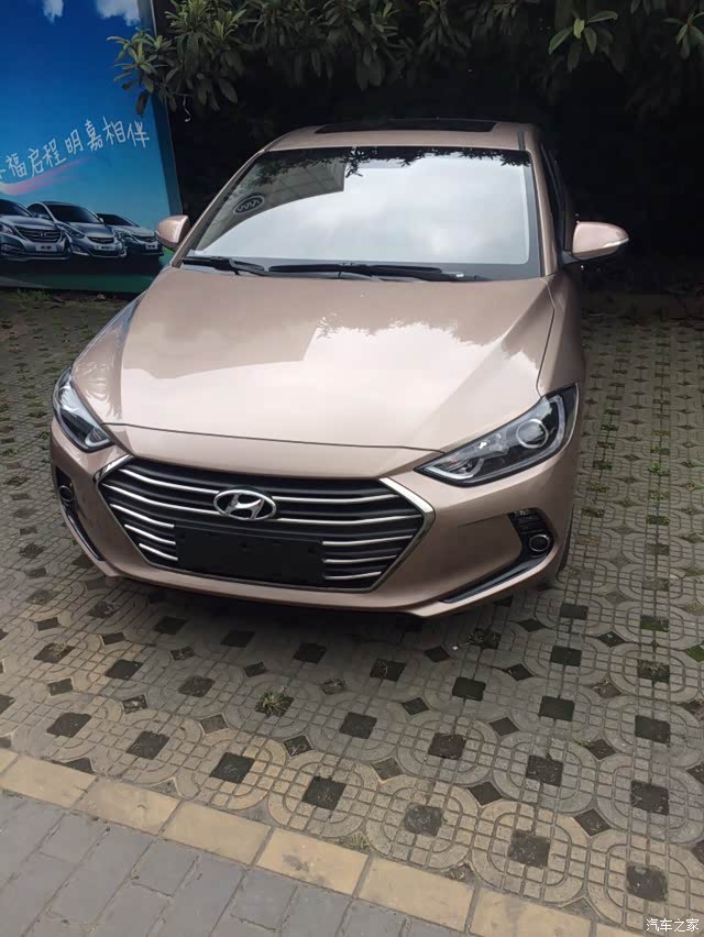 领动流沙金的图片看看