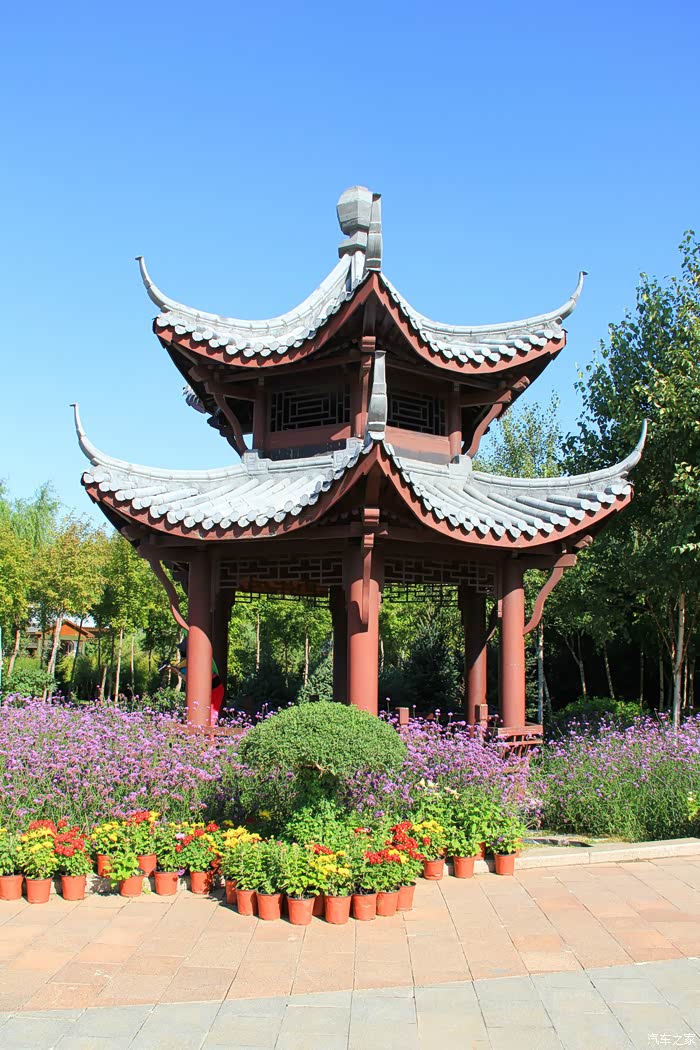 游中国亭园赏哈尔滨市香坊区第十四届菊花展