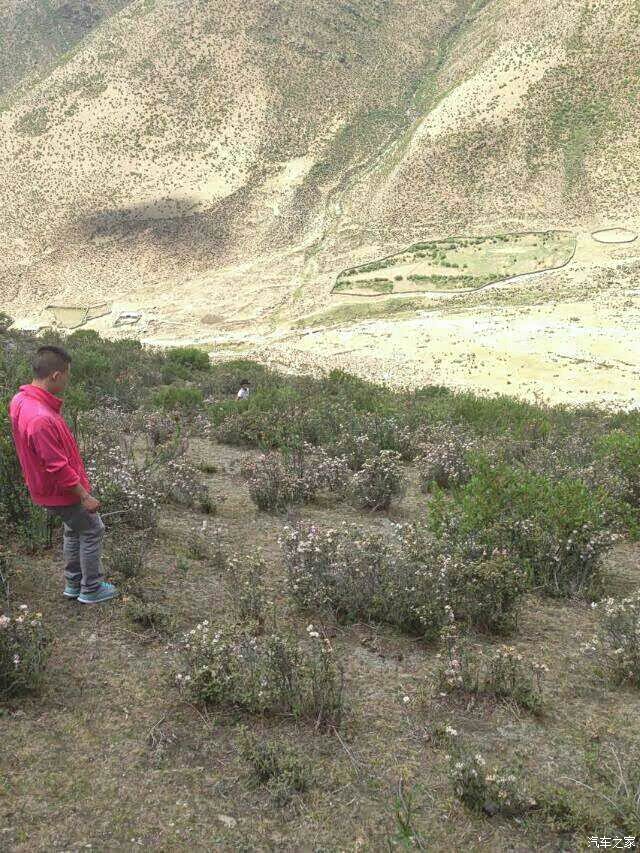 春天西藏拉萨的天气像婴儿一般雪中的大七很冻人