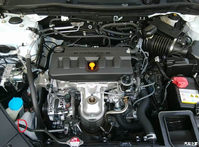 雅阁防冻液在哪个地方加多久加一次防冻液