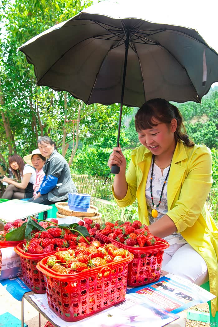 请问有知道今年昭通小寨的樱桃节是几号的吗