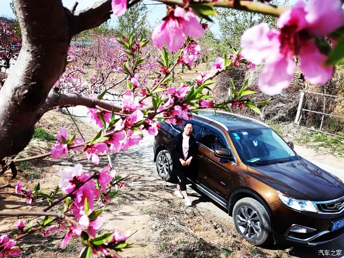 花边婚美丽而体贴畅游桃花节同心永相结