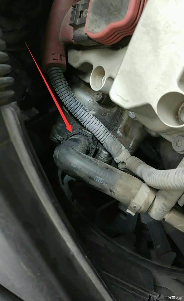 谁知道这叫什么_奥迪a6l论坛_汽车之家论坛