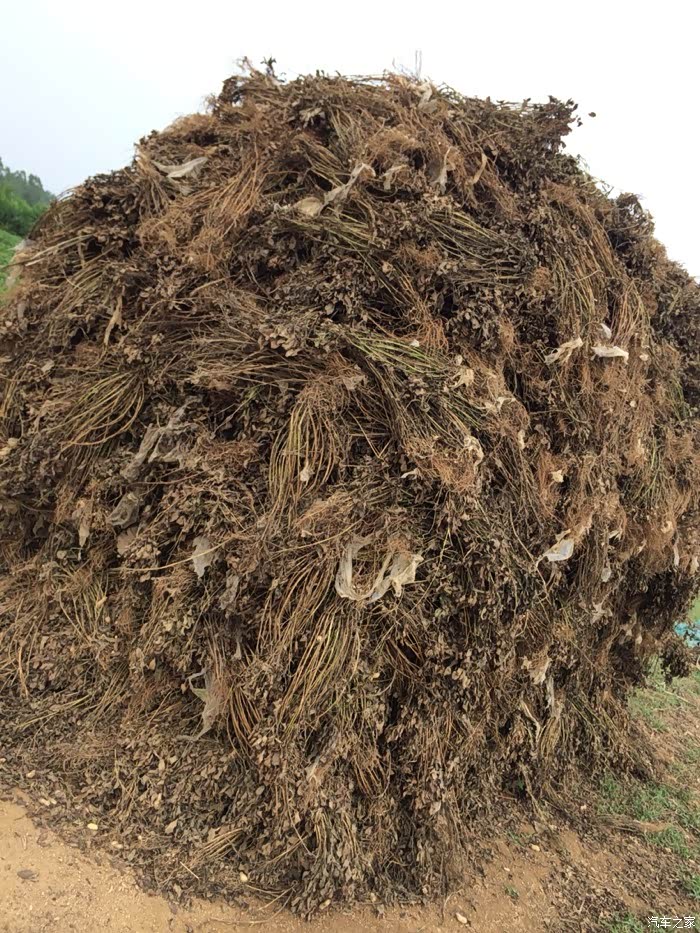 你陪我长大,我陪你变老——中秋节和老爸老妈团聚