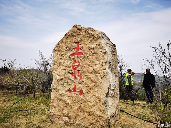 玉泉山公园赏樱花,登山步道花芳斗艳