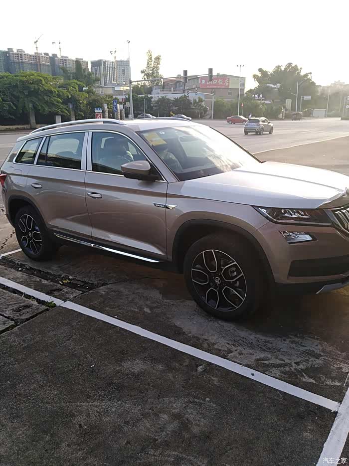 曙光金今天刚提