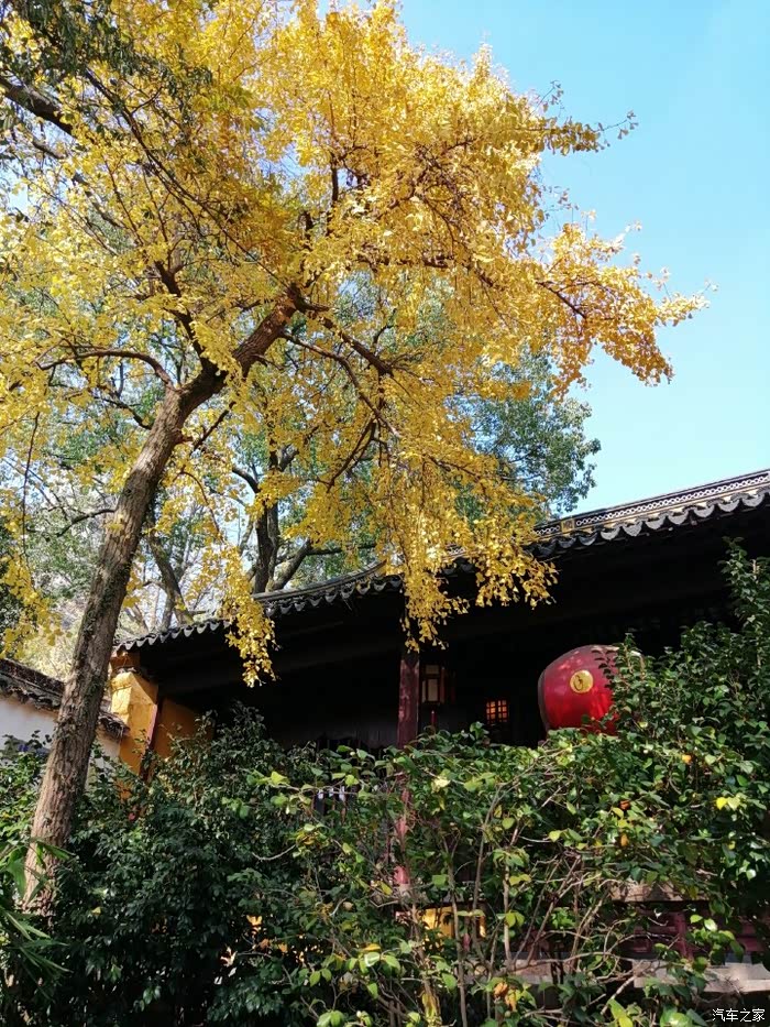 虎丘云岩禅寺的秋天特别美丽游人如织