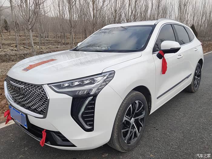 【国产新秀】"大三"版哈弗初恋作伴的幸福生活.