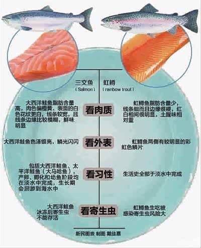 三文鱼?大马哈鱼?虹鳟鱼?区别与相同之处