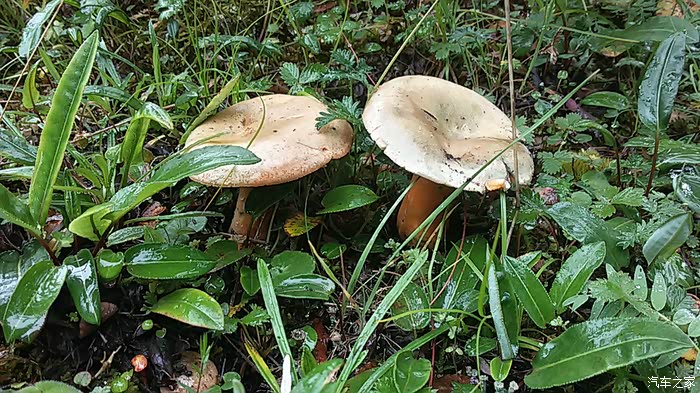 大美青海——无法抵挡的色诱!