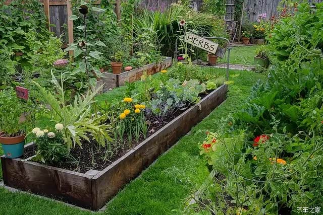 游泳池和露台拿来种菜?花园新手的疯狂玩法