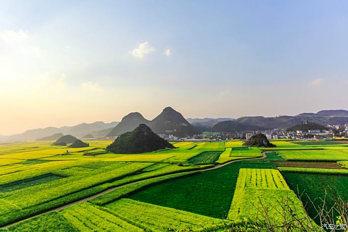 【風光】中國·羅平油菜花——金雞峰叢篇