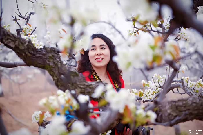 梨花有思缘叶树江头恼杀君最似孀闺年妇白妆素袖碧纱裙冷艳全欺雪馀香