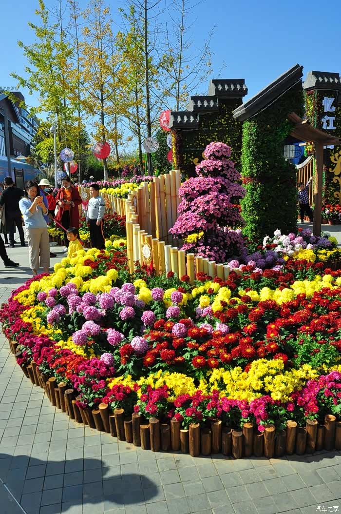 【你好2021】自驾游看花展