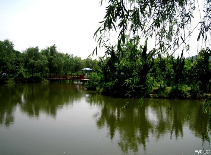 姚家寨生态园图片