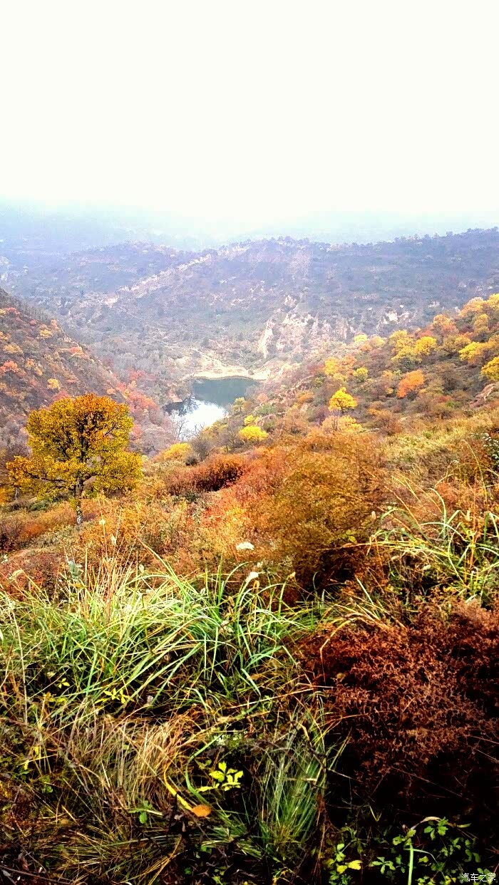 深入黄土高原上的原始森林