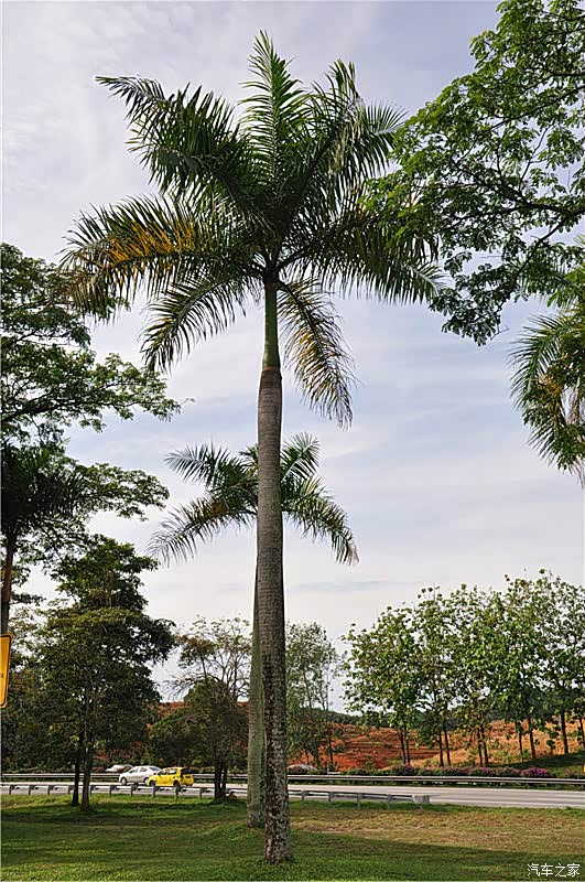 马来西亚-吉隆坡-马六甲-云顶景色揽胜