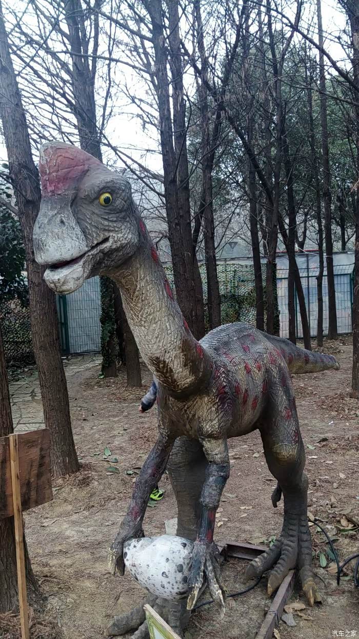 无锡长安车友会我和恐龙有个约会