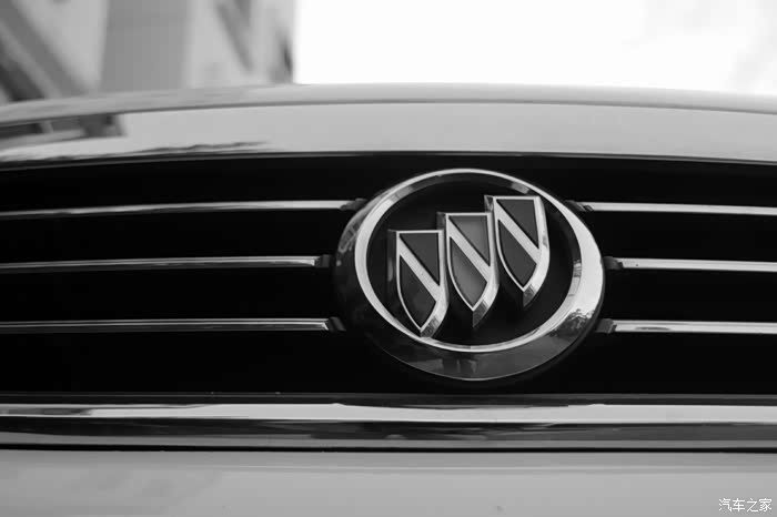 最后来一张黑白的别克车标作为结尾. 此帖内容与照片已完.