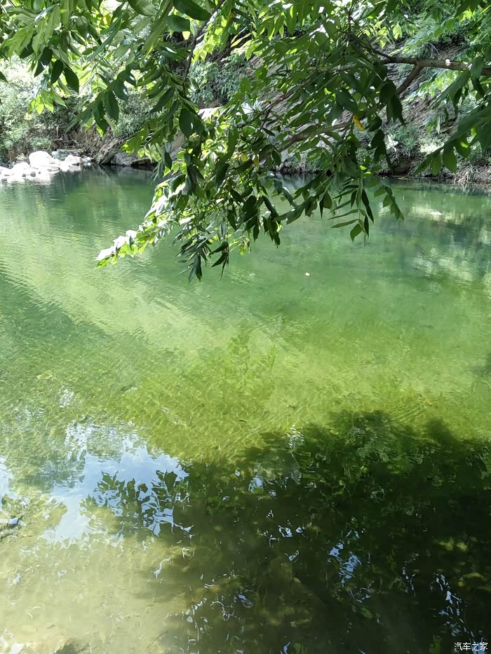 梨木台趟水一天