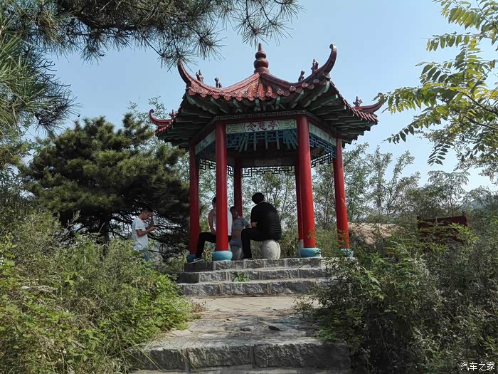 临朐黑松林一日游