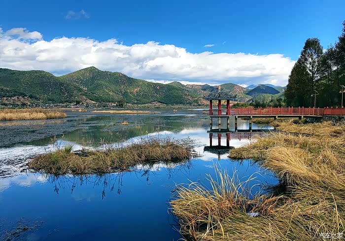 智勇新境#泸沽湖草海