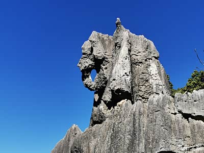 驾新车,游石林,戏海鸥