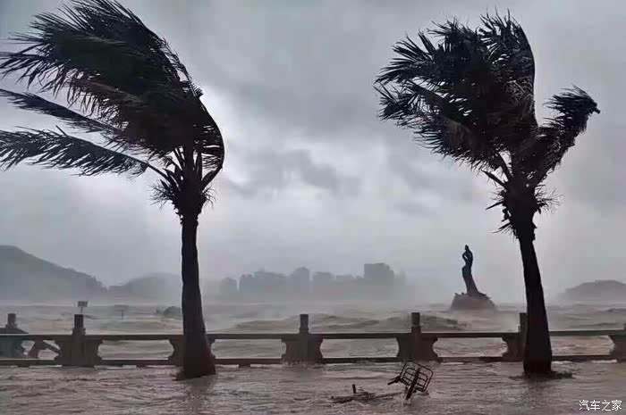 强台风"天鸽"席卷珠海,灾后重建工作在行动,珠海加油!