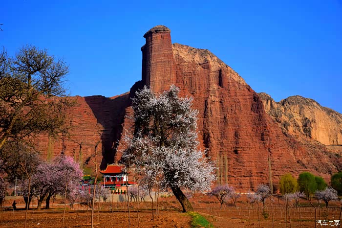 东乡族县唐汪镇的醉美杏花和丹霞奇观