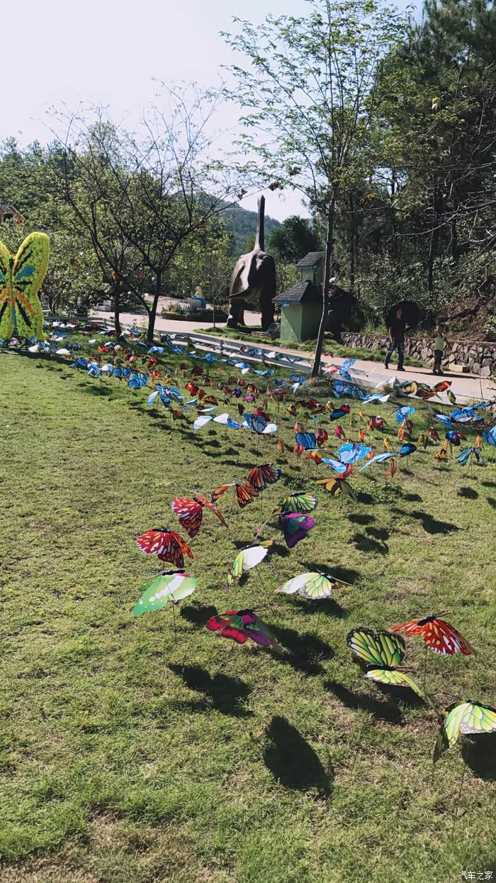 博越伴随一起去看恐龙跟蝴蝶