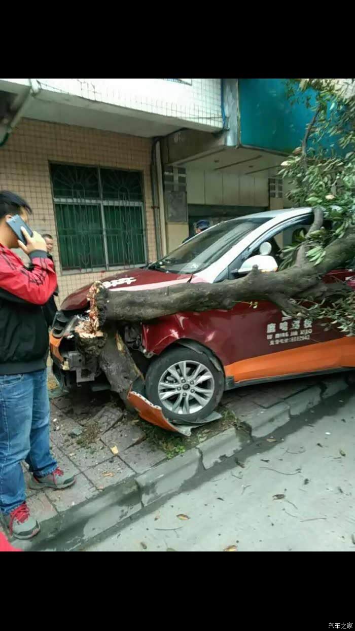 宝骏又撞树了,这次惨不忍睹