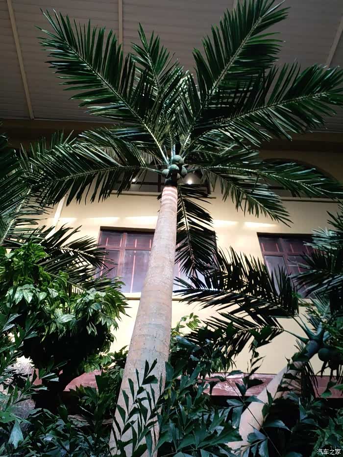 3088 | 回复: 23 标致4008论坛 心有多宽,地有多广,记咱家小白的第一