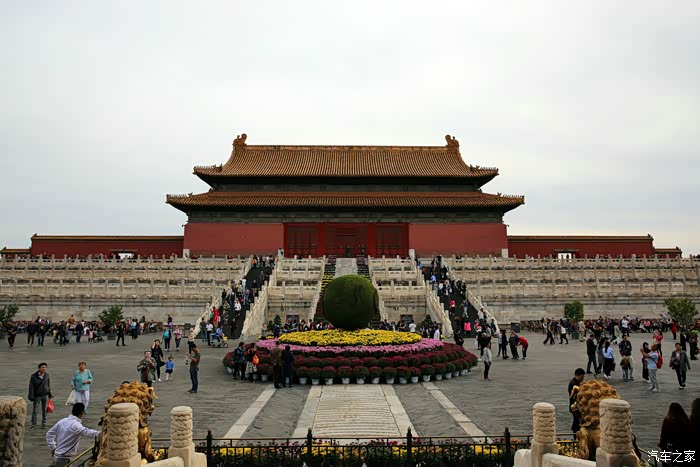 去故宫博物院乾清门广场拍摄开封菊花展